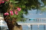 Three steps to Boukari Beach, Corfu