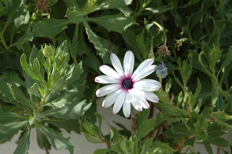 Images of Corfu, Greece