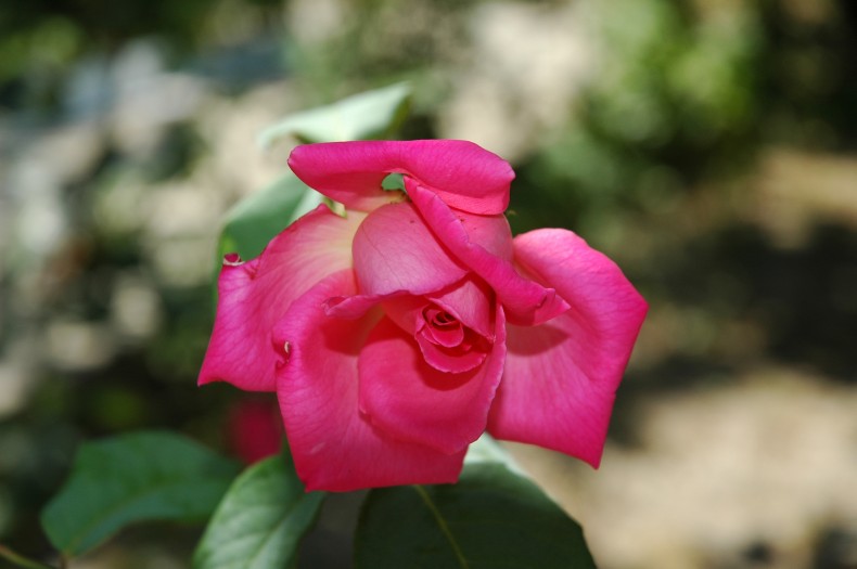 Images of Corfu, Greece
