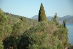 Green Corfu