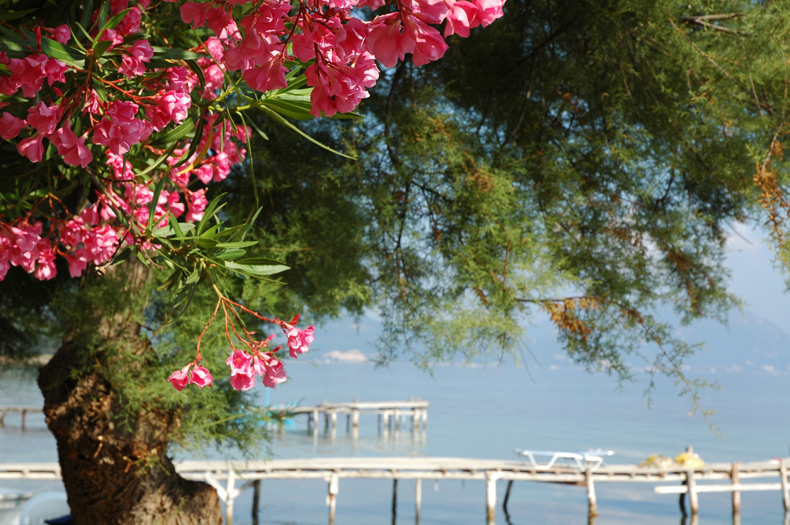 Images of Corfu, Greece