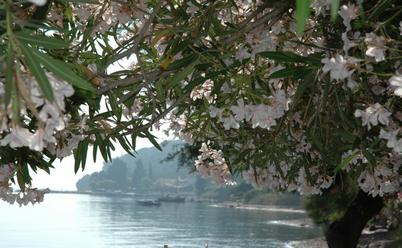 Images of Corfu, Greece